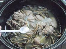 茶菇番鸭煲怎么做，茶菇番鸭煲怎么做好吃，茶菇番鸭煲做法