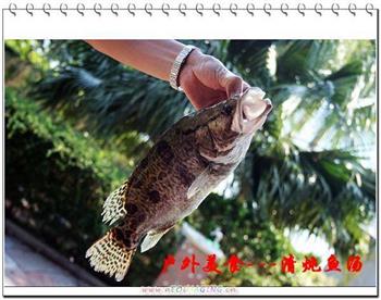 清炖鱼汤怎么做，清炖鱼汤怎么做好吃，清炖鱼汤做法