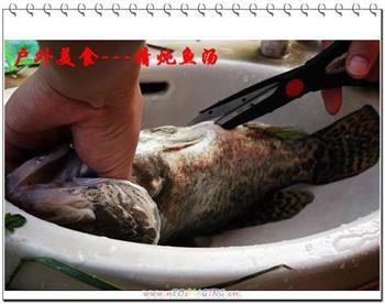 清炖鱼汤怎么做，清炖鱼汤怎么做好吃，清炖鱼汤做法