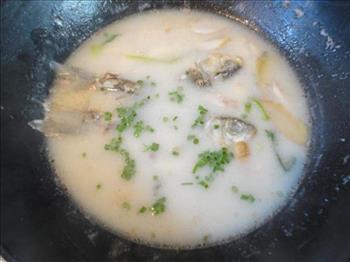 竽头鱼汤怎么做，竽头鱼汤怎么做好吃，竽头鱼汤做法