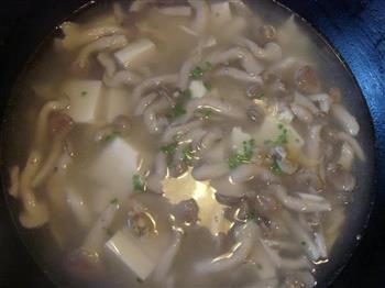 白玉菌菇蛤蜊汤怎么做，白玉菌菇蛤蜊汤怎么做好吃，白玉菌菇蛤蜊汤做法