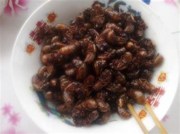 油炸蝉蛹怎么做,油炸蝉蛹怎么做好吃,油炸蝉蛹做法 油炸蝉蛹怎么做,油炸蝉蛹怎么做好吃,油炸蝉蛹做法