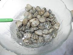 海鲜萝卜丝疙瘩汤怎么做，海鲜萝卜丝疙瘩汤怎么做好吃，海鲜萝卜丝疙瘩汤做法