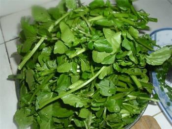 西洋菜牛肉丸汤怎么做，西洋菜牛肉丸汤怎么做好吃，西洋菜牛肉丸汤做法