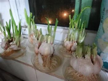 卷饼怎么做，卷饼怎么做好吃，卷饼做法