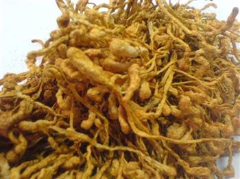 黄芪虫草花鸡架汤怎么做，黄芪虫草花鸡架汤怎么做好吃，黄芪虫草花鸡架汤做法