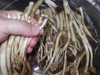 茶树菇肉片汤怎么做，茶树菇肉片汤怎么做好吃，茶树菇肉片汤做法