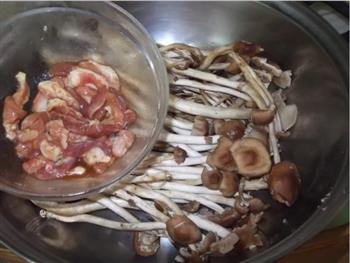 茶树菇肉片汤怎么做，茶树菇肉片汤怎么做好吃，茶树菇肉片汤做法