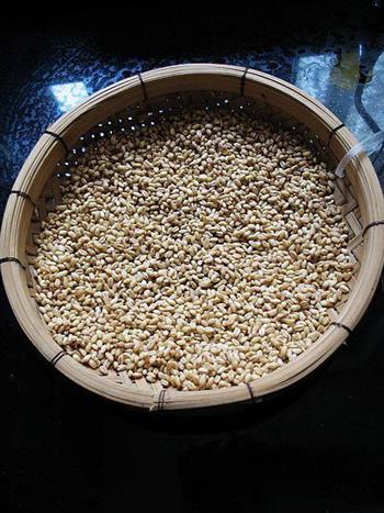 红枣菊花炒麦茶怎么做,红枣菊花炒麦茶怎么做好吃,红枣菊花炒麦茶做法 红枣菊花炒麦茶怎么做,红枣菊花炒麦茶怎么做好吃,红枣菊花炒麦茶做法
