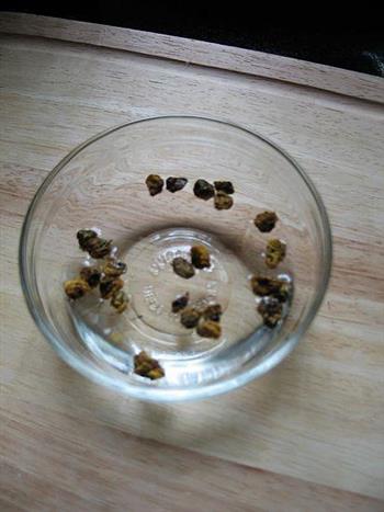 红枣菊花炒麦茶怎么做,红枣菊花炒麦茶怎么做好吃,红枣菊花炒麦茶做法 红枣菊花炒麦茶怎么做,红枣菊花炒麦茶怎么做好吃,红枣菊花炒麦茶做法