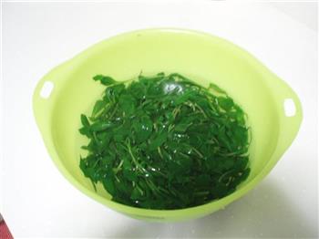 煎蛋卷马兰头怎么做，煎蛋卷马兰头怎么做好吃，煎蛋卷马兰头做法