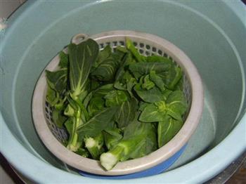 苔心菜细园子怎么做，苔心菜细园子怎么做好吃，苔心菜细园子做法