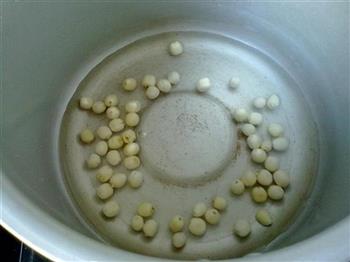木瓜莲子银耳煲怎么做，木瓜莲子银耳煲怎么做好吃，木瓜莲子银耳煲做法