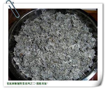 茵陈菜疙瘩怎么做，茵陈菜疙瘩怎么做好吃，茵陈菜疙瘩做法