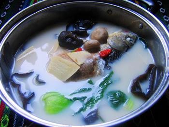 蘑菇鲫鱼汤怎么做，蘑菇鲫鱼汤怎么做好吃，蘑菇鲫鱼汤做法