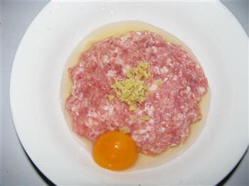 香菜肉圆汤怎么做,香菜肉圆汤怎么做好吃,香菜肉圆汤做法 香菜肉圆汤怎么做,香菜肉圆汤怎么做好吃,香菜肉圆汤做法