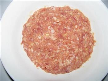 香菜肉圆汤怎么做,香菜肉圆汤怎么做好吃,香菜肉圆汤做法 香菜肉圆汤怎么做,香菜肉圆汤怎么做好吃,香菜肉圆汤做法