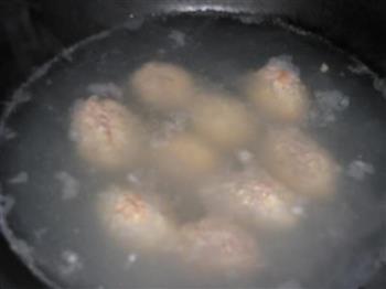 香菜肉圆汤怎么做,香菜肉圆汤怎么做好吃,香菜肉圆汤做法 香菜肉圆汤怎么做,香菜肉圆汤怎么做好吃,香菜肉圆汤做法