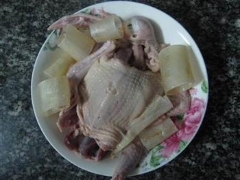 白鸽炖鱼鳔怎么做，白鸽炖鱼鳔怎么做好吃，白鸽炖鱼鳔做法
