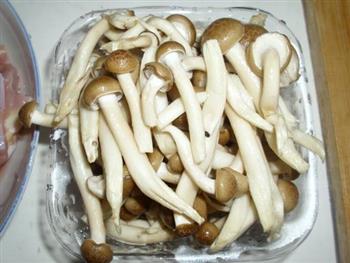 真姬菇炖鸡腿肉怎么做,真姬菇炖鸡腿肉怎么做好吃,真姬菇炖鸡腿肉做法 真姬菇炖鸡腿肉怎么做,真姬菇炖鸡腿肉怎么做好吃,真姬菇炖鸡腿肉做法