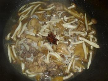 真姬菇炖鸡腿肉怎么做,真姬菇炖鸡腿肉怎么做好吃,真姬菇炖鸡腿肉做法 真姬菇炖鸡腿肉怎么做,真姬菇炖鸡腿肉怎么做好吃,真姬菇炖鸡腿肉做法