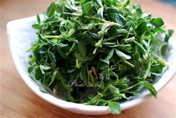 苜蓿菜汁饼怎么做，苜蓿菜汁饼怎么做好吃，苜蓿菜汁饼做法