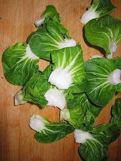 萝卜白菜炖排骨怎么做，萝卜白菜炖排骨怎么做好吃，萝卜白菜炖排骨做法