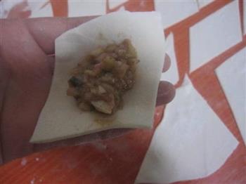杏鲍菇猪肉馅馄饨怎么做，杏鲍菇猪肉馅馄饨怎么做好吃，杏鲍菇猪肉馅馄饨做法