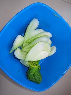 萝卜白菜清炖羊排怎么做,萝卜白菜清炖羊排怎么做好吃,萝卜白菜清炖羊排做法 萝卜白菜清炖羊排怎么做,萝卜白菜清炖羊排怎么做好吃,萝卜白菜清炖羊排做法