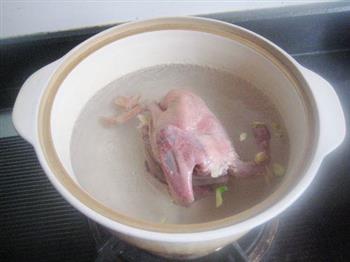 峨参香菇炖乳鸽怎么做，峨参香菇炖乳鸽怎么做好吃，峨参香菇炖乳鸽做法
