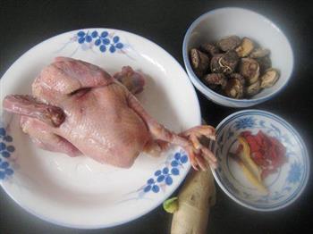 峨参香菇炖乳鸽怎么做，峨参香菇炖乳鸽怎么做好吃，峨参香菇炖乳鸽做法