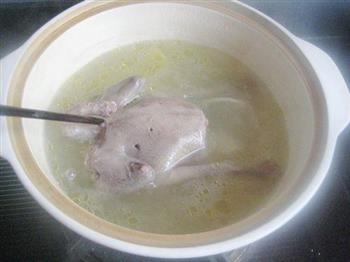 峨参香菇炖乳鸽怎么做，峨参香菇炖乳鸽怎么做好吃，峨参香菇炖乳鸽做法
