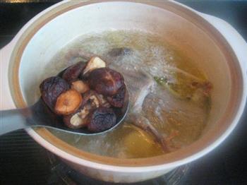 峨参香菇炖乳鸽怎么做，峨参香菇炖乳鸽怎么做好吃，峨参香菇炖乳鸽做法