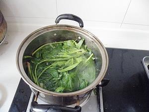 碧玉菠菜豆腐丸怎么做,碧玉菠菜豆腐丸怎么做好吃,碧玉菠菜豆腐丸做法 碧玉菠菜豆腐丸怎么做,碧玉菠菜豆腐丸怎么做好吃,碧玉菠菜豆腐丸做法