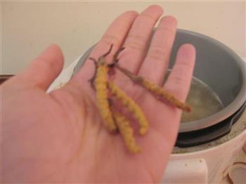 虫草萝卜排骨汤怎么做，虫草萝卜排骨汤怎么做好吃，虫草萝卜排骨汤做法