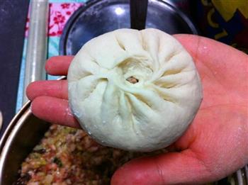 鲜肉包子怎么做，鲜肉包子怎么做好吃，鲜肉包子做法