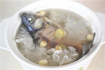银耳莲子鲫鱼汤怎么做，银耳莲子鲫鱼汤怎么做好吃，银耳莲子鲫鱼汤做法