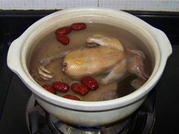 阿胶鸽子汤怎么做,阿胶鸽子汤怎么做好吃,阿胶鸽子汤做法 阿胶鸽子汤怎么做,阿胶鸽子汤怎么做好吃,阿胶鸽子汤做法
