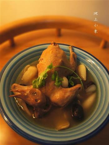 阿胶鸽子汤怎么做,阿胶鸽子汤怎么做好吃,阿胶鸽子汤做法 阿胶鸽子汤怎么做,阿胶鸽子汤怎么做好吃,阿胶鸽子汤做法