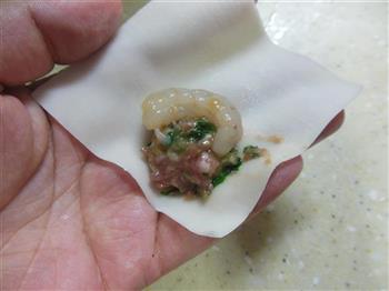 苋菜虾仁馄饨怎么做，苋菜虾仁馄饨怎么做好吃，苋菜虾仁馄饨做法