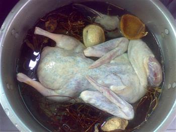 鸡骨草陈皮水鸭汤怎么做，鸡骨草陈皮水鸭汤怎么做好吃，鸡骨草陈皮水鸭汤做法