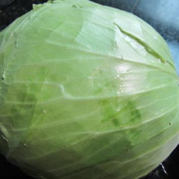 蚝油翡脆包菜卷怎么做，蚝油翡脆包菜卷怎么做好吃，蚝油翡脆包菜卷做法