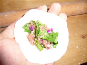 紫甘蓝香菜水晶饺怎么做，紫甘蓝香菜水晶饺怎么做好吃，紫甘蓝香菜水晶饺做法