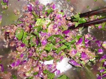 紫甘蓝香菜水晶饺怎么做，紫甘蓝香菜水晶饺怎么做好吃，紫甘蓝香菜水晶饺做法