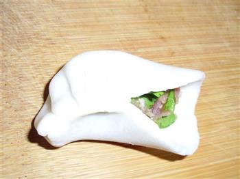 紫甘蓝香菜水晶饺怎么做，紫甘蓝香菜水晶饺怎么做好吃，紫甘蓝香菜水晶饺做法