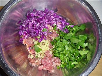 紫甘蓝香菜水晶饺怎么做，紫甘蓝香菜水晶饺怎么做好吃，紫甘蓝香菜水晶饺做法