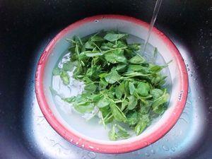野生菌粉豌豆尖汤怎么做，野生菌粉豌豆尖汤怎么做好吃，野生菌粉豌豆尖汤做法