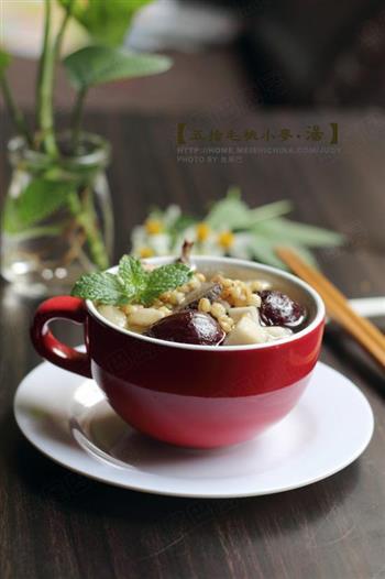 五指毛桃小麦汤怎么做，五指毛桃小麦汤怎么做好吃，五指毛桃小麦汤做法