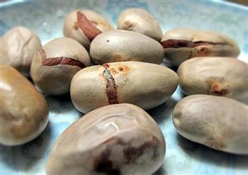 菠萝蜜籽剔骨汤怎么做，菠萝蜜籽剔骨汤怎么做好吃，菠萝蜜籽剔骨汤做法