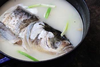 白汤鱼头怎么做，白汤鱼头怎么做好吃，白汤鱼头做法